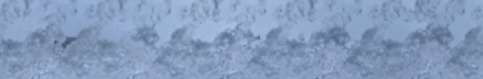 Manigod - Col de Merdassier